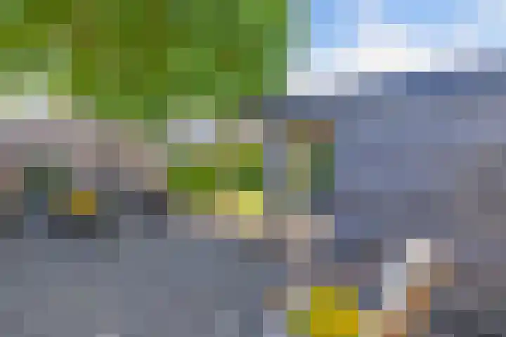 Vaartweg 14 Espel thumbnail 41