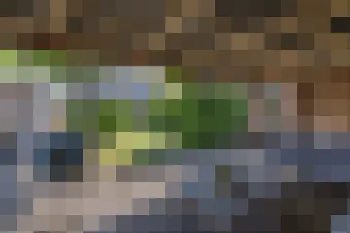 Vaartweg 14 Espel thumbnail 42