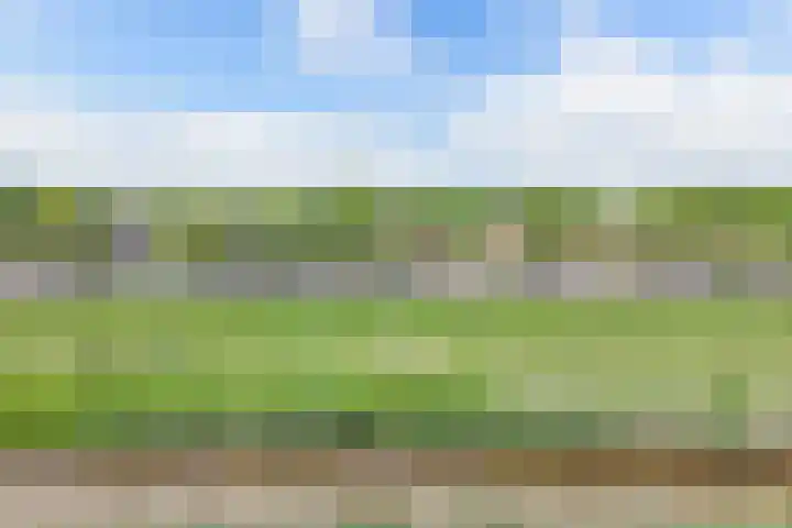 Vaartweg 14 Espel thumbnail 5
