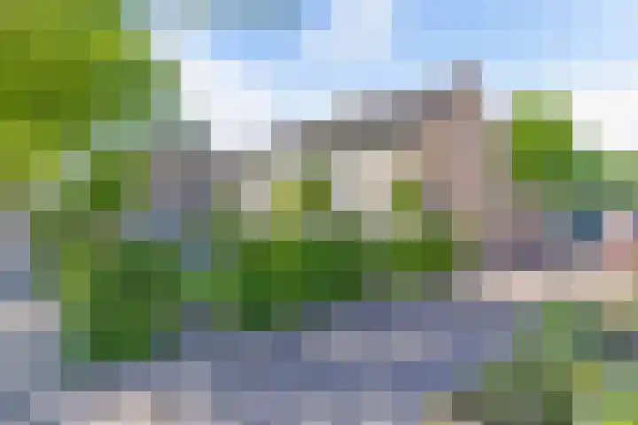 Vaartweg 14 Espel thumbnail 50