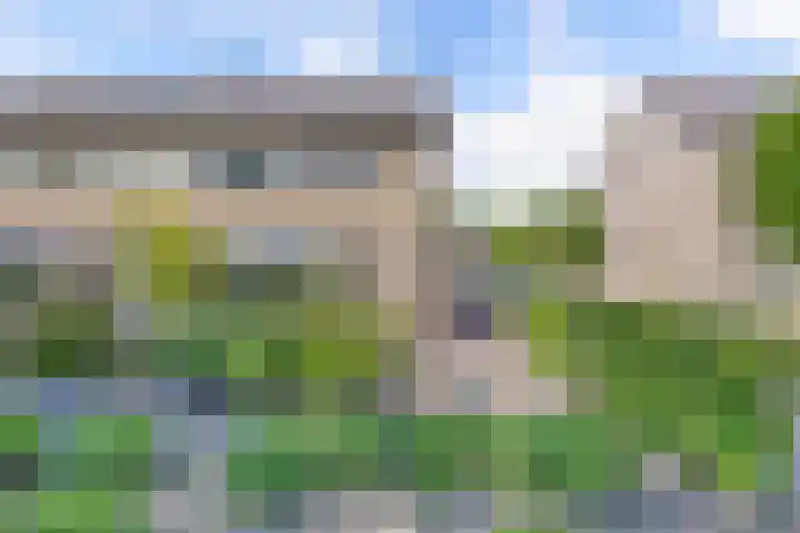 Vaartweg 14 Espel thumbnail 51