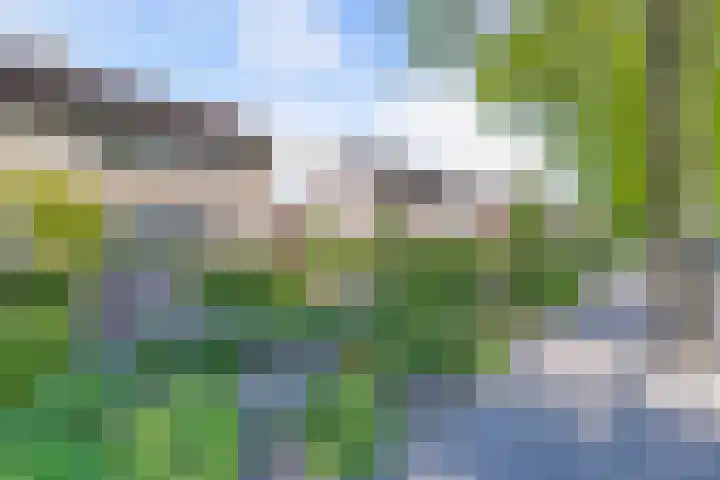 Vaartweg 14 Espel thumbnail 52