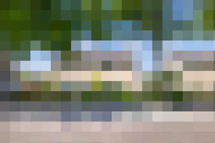 Vaartweg 14 Espel thumbnail 53