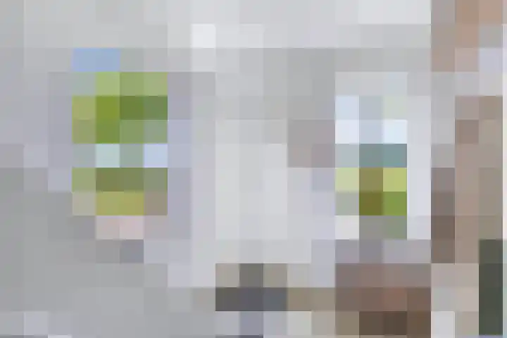Vaartweg 14 Espel thumbnail 8