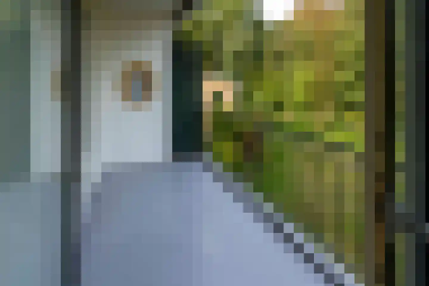 Vaartweg 142 Hilversum thumbnail 27
