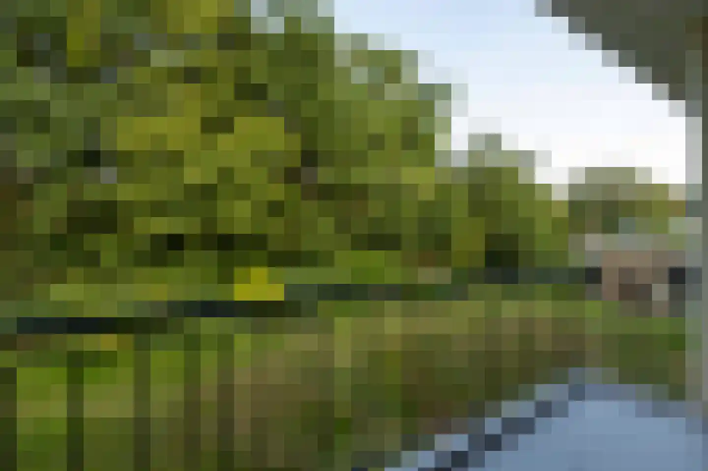 Vaartweg 142 Hilversum thumbnail 29