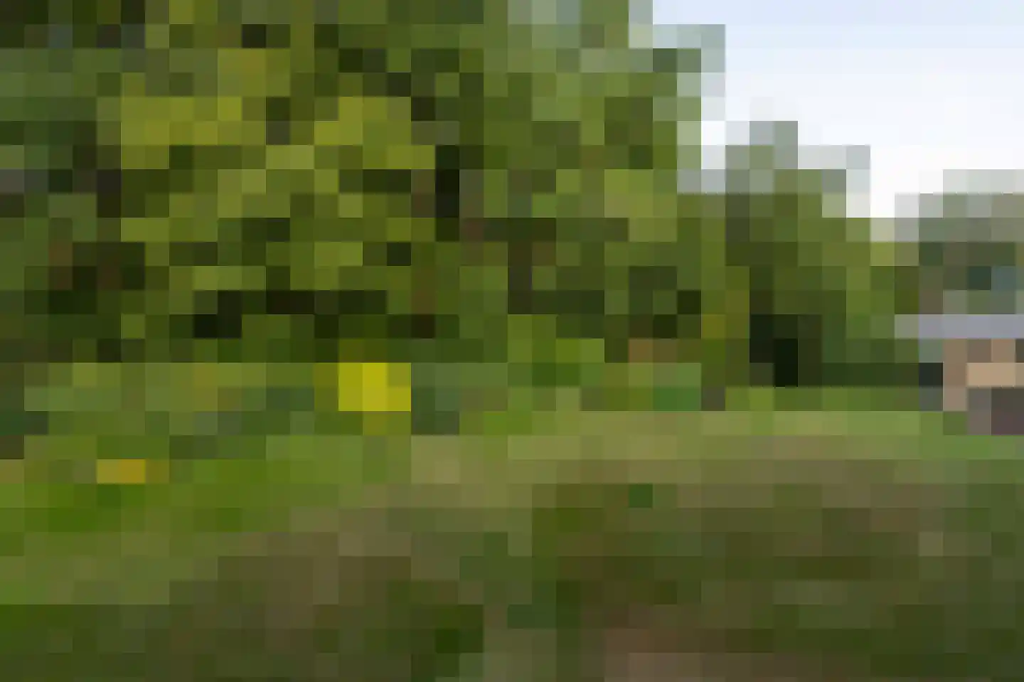 Vaartweg 142 Hilversum thumbnail 32