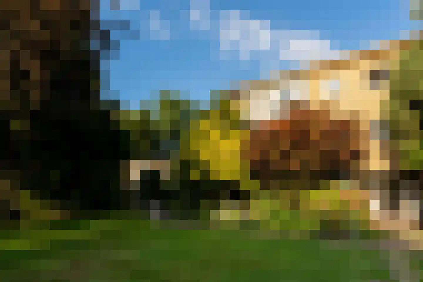 Vaartweg 142 Hilversum thumbnail 5