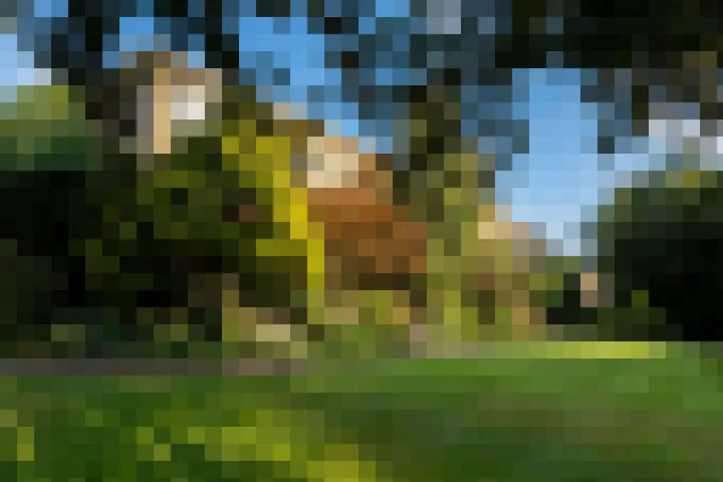Vaartweg 142 Hilversum thumbnail 6