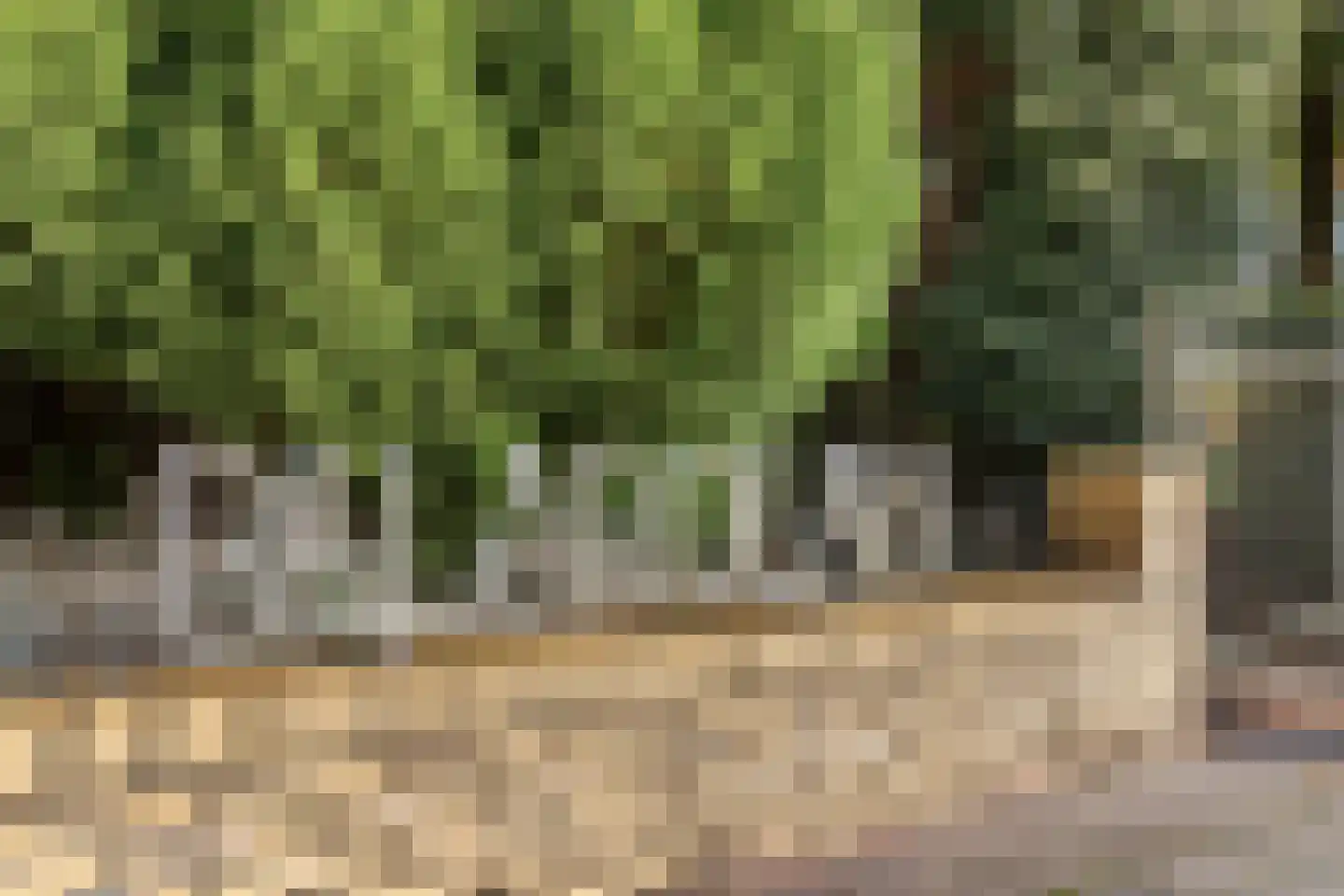 Vaartweg 148 Hilversum thumbnail 22