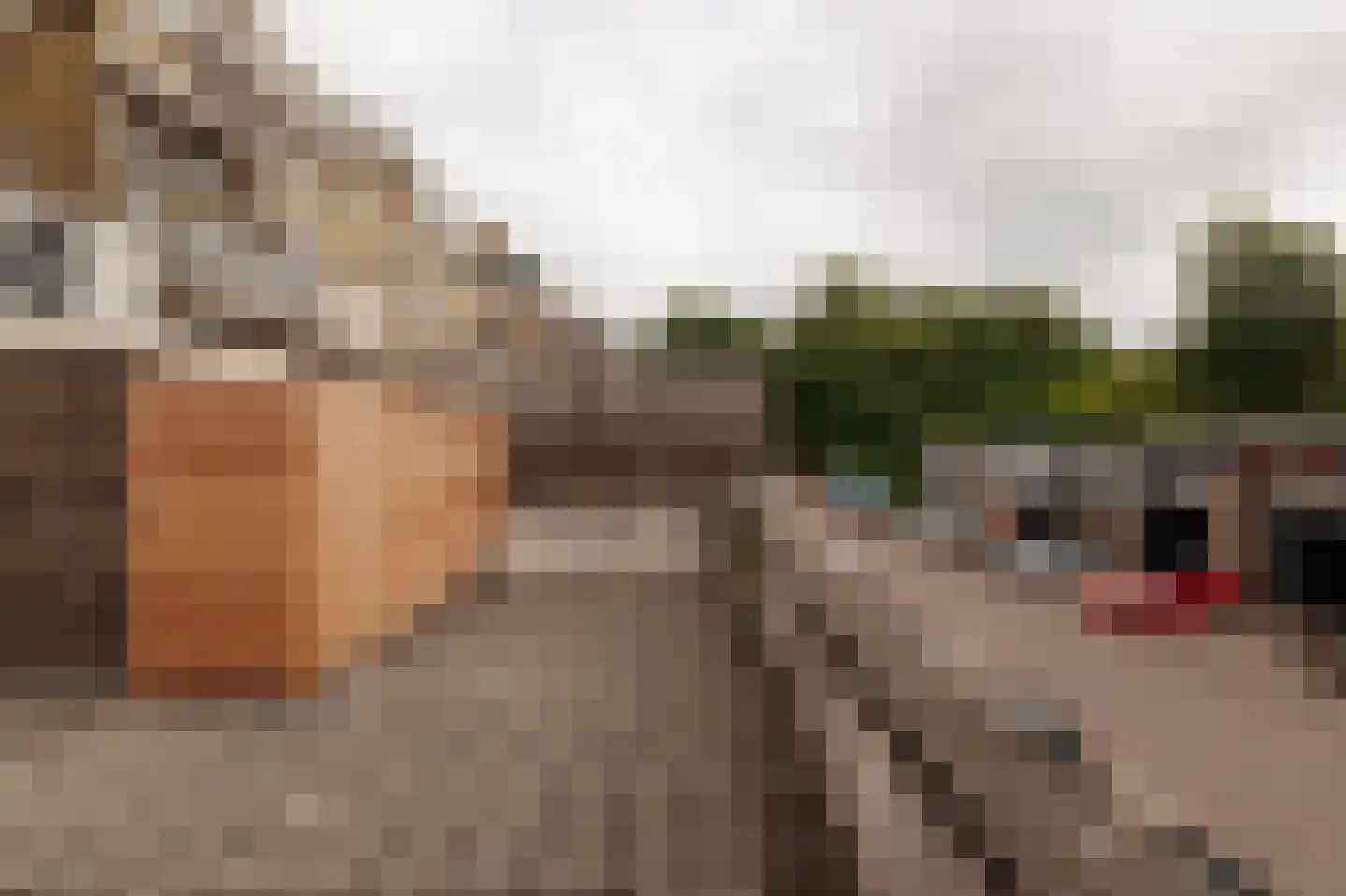 Vaartweg 153 A Hilversum thumbnail 19