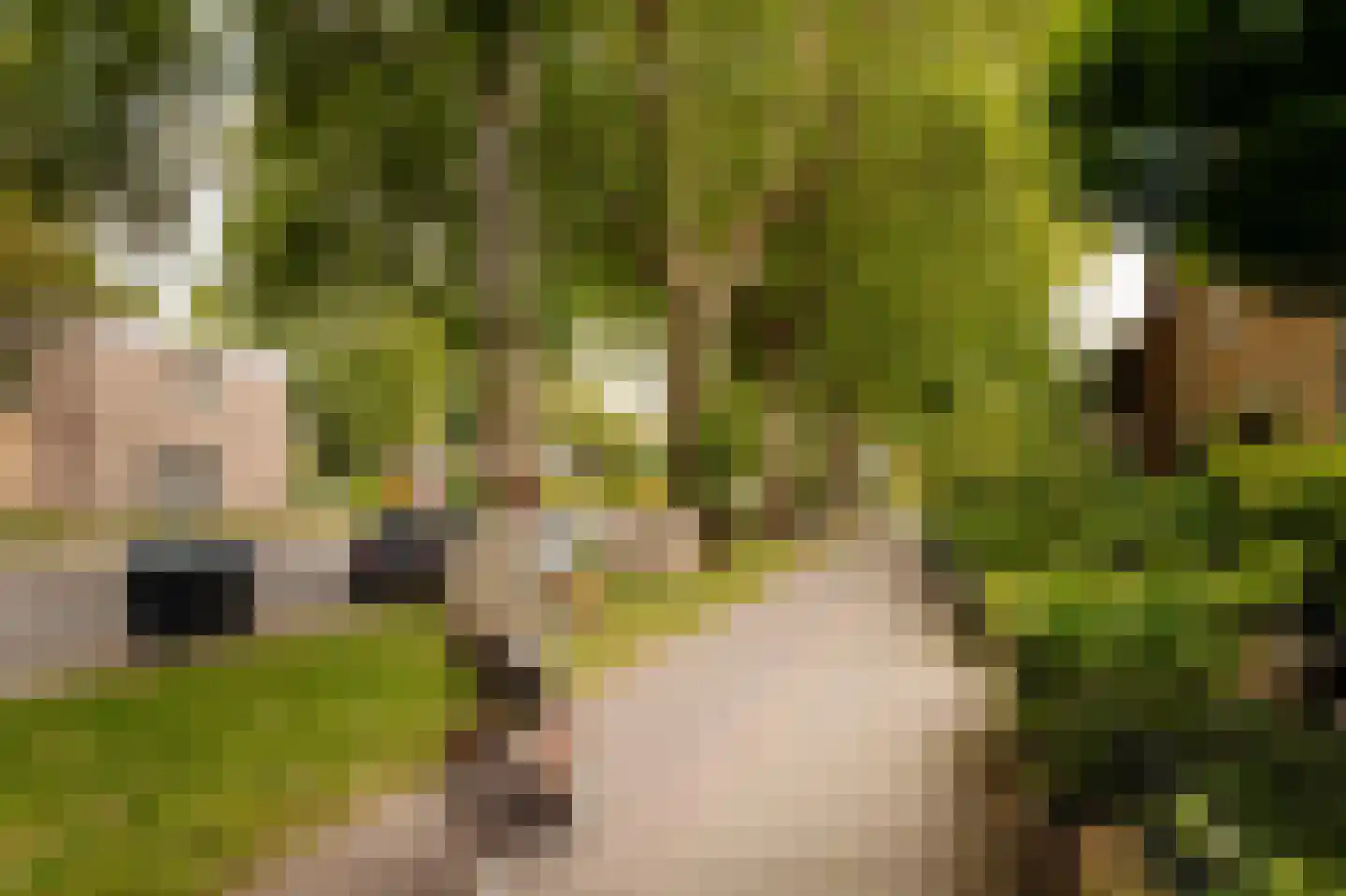 Vaartweg 153 A Hilversum thumbnail 23