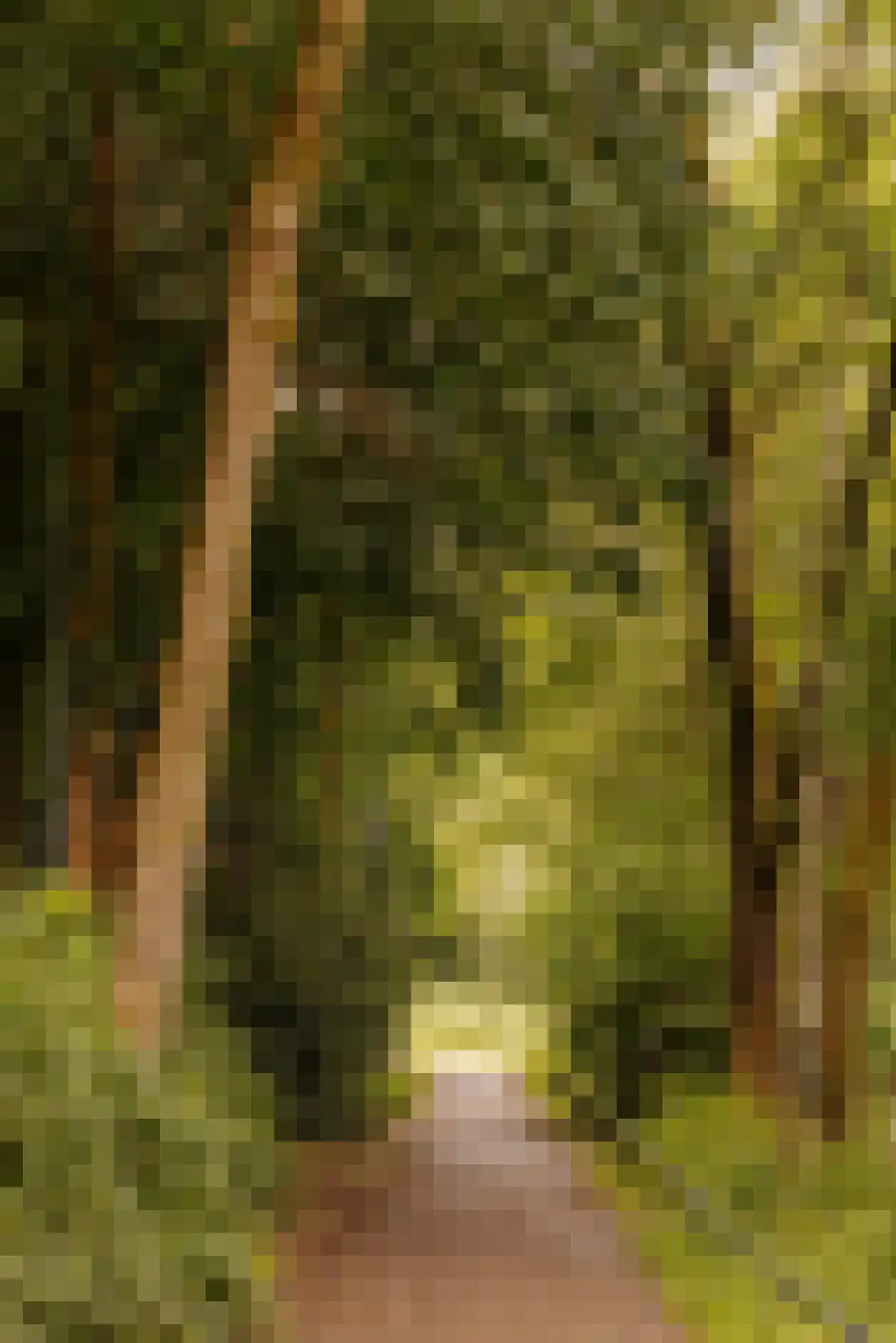 Vaartweg 153 A Hilversum thumbnail 24