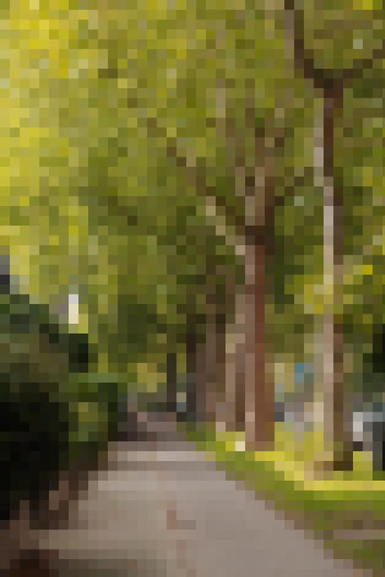 Vaartweg 153 C Hilversum thumbnail 26