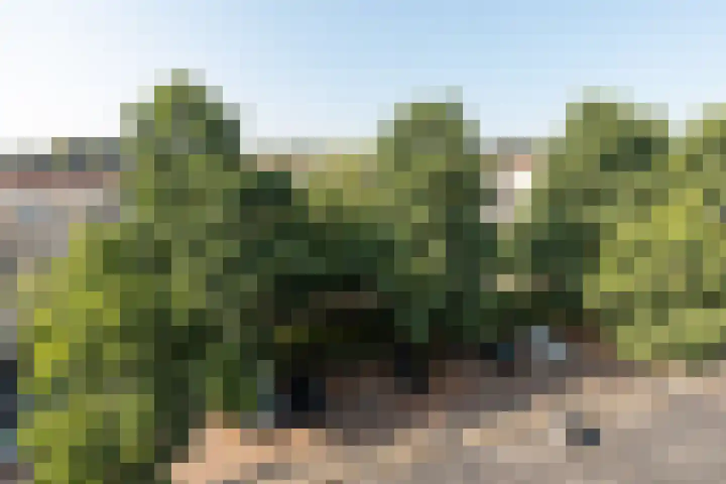 Vaartweg 165 B Hilversum thumbnail 28