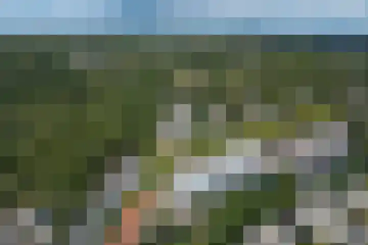 Vaartweg 167 Hilversum thumbnail 35