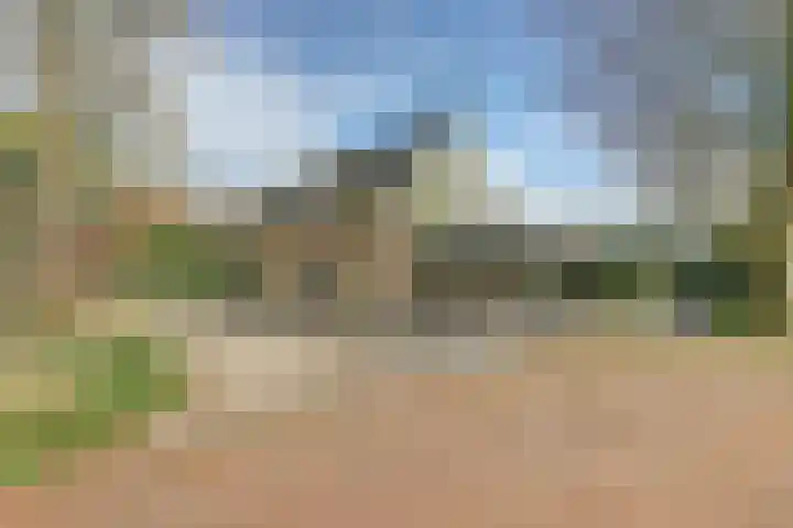Vaartweg 17 's Gravenmoer thumbnail 4