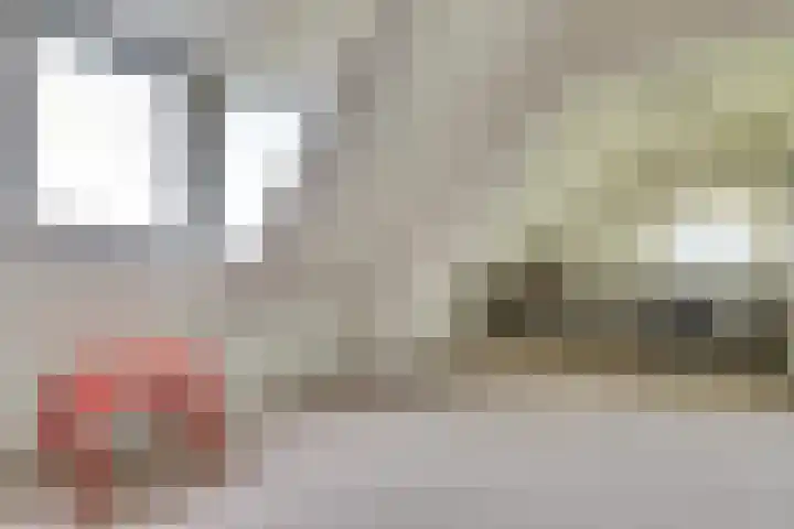 Vaartweg 17 's Gravenmoer thumbnail 40