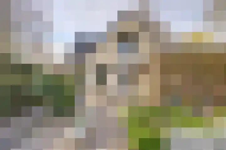 Vaartweg 17 's Gravenmoer thumbnail 45