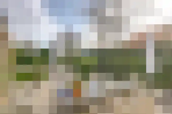 Vaartweg 17 's Gravenmoer thumbnail 48