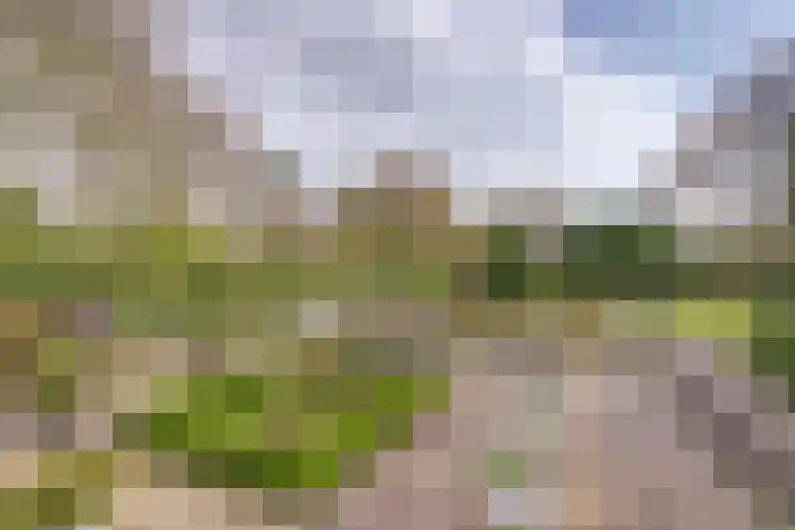 Vaartweg 17 's Gravenmoer thumbnail 49