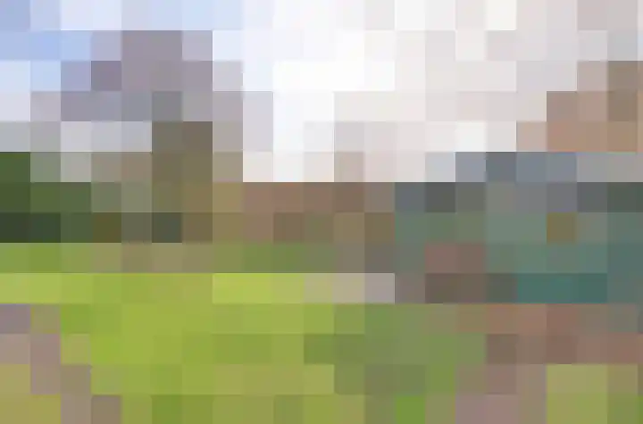 Vaartweg 17 's Gravenmoer thumbnail 50