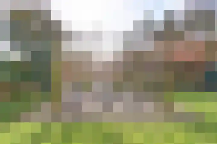 Vaartweg 17 's Gravenmoer thumbnail 52