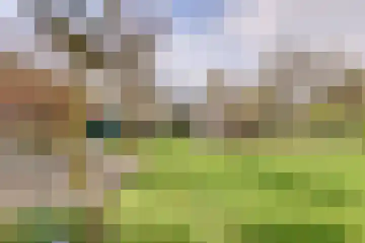 Vaartweg 17 's Gravenmoer thumbnail 53