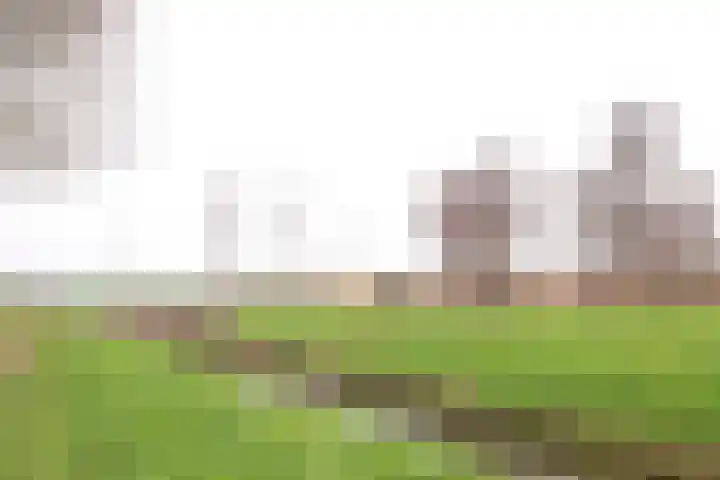 Vaartweg 17 's Gravenmoer thumbnail 55