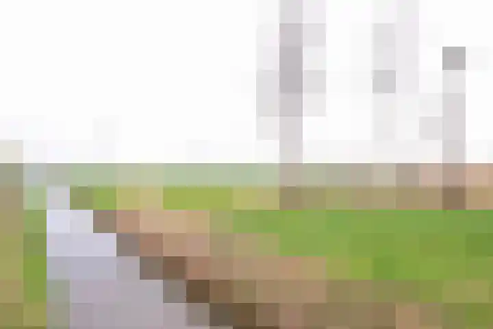 Vaartweg 17 's Gravenmoer thumbnail 56