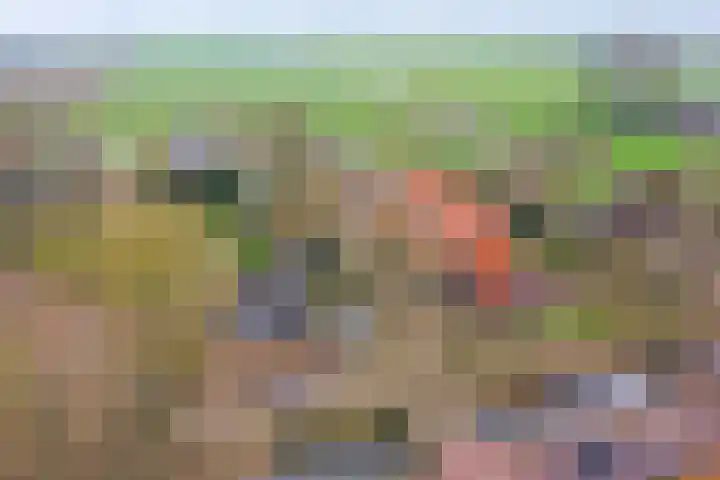 Vaartweg 17 's Gravenmoer thumbnail 57