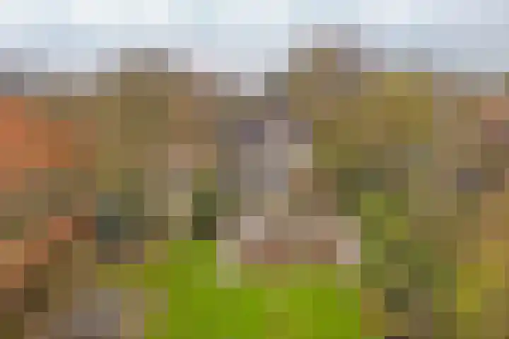Vaartweg 17 's Gravenmoer thumbnail 58