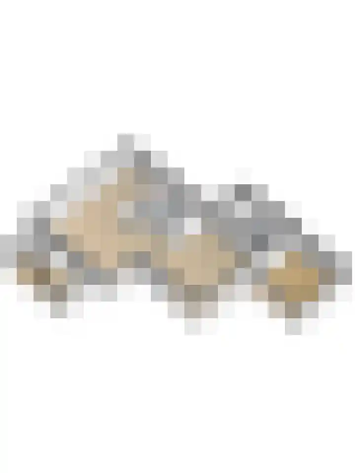 Vaartweg 17 's Gravenmoer thumbnail 62