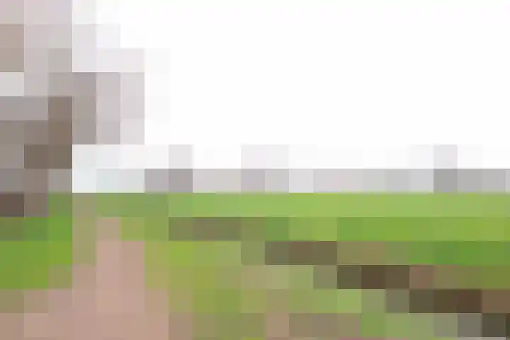 Vaartweg 17 's Gravenmoer thumbnail 8