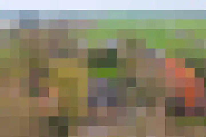 Vaartweg 17 's Gravenmoer thumbnail 9