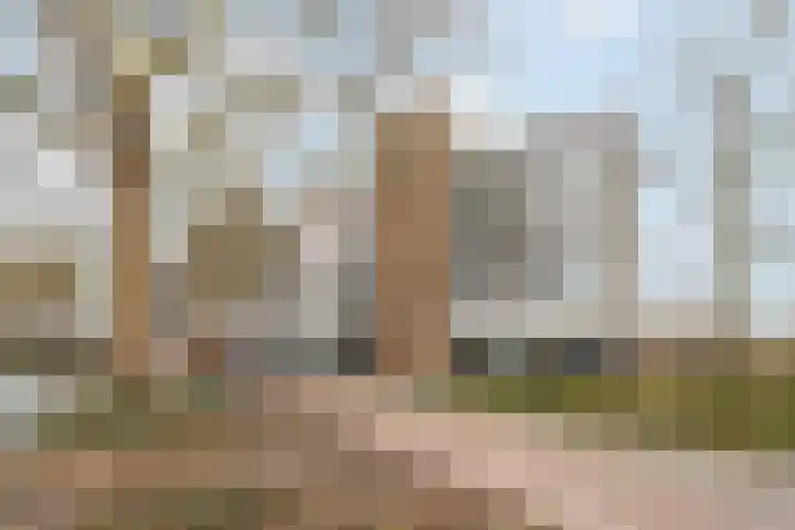 Vaartweg 177 C Hilversum thumbnail 17