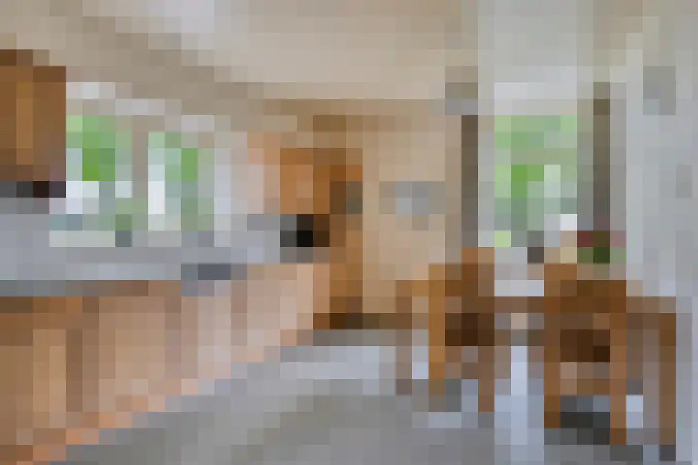Vaartweg 18 Dongen thumbnail 19