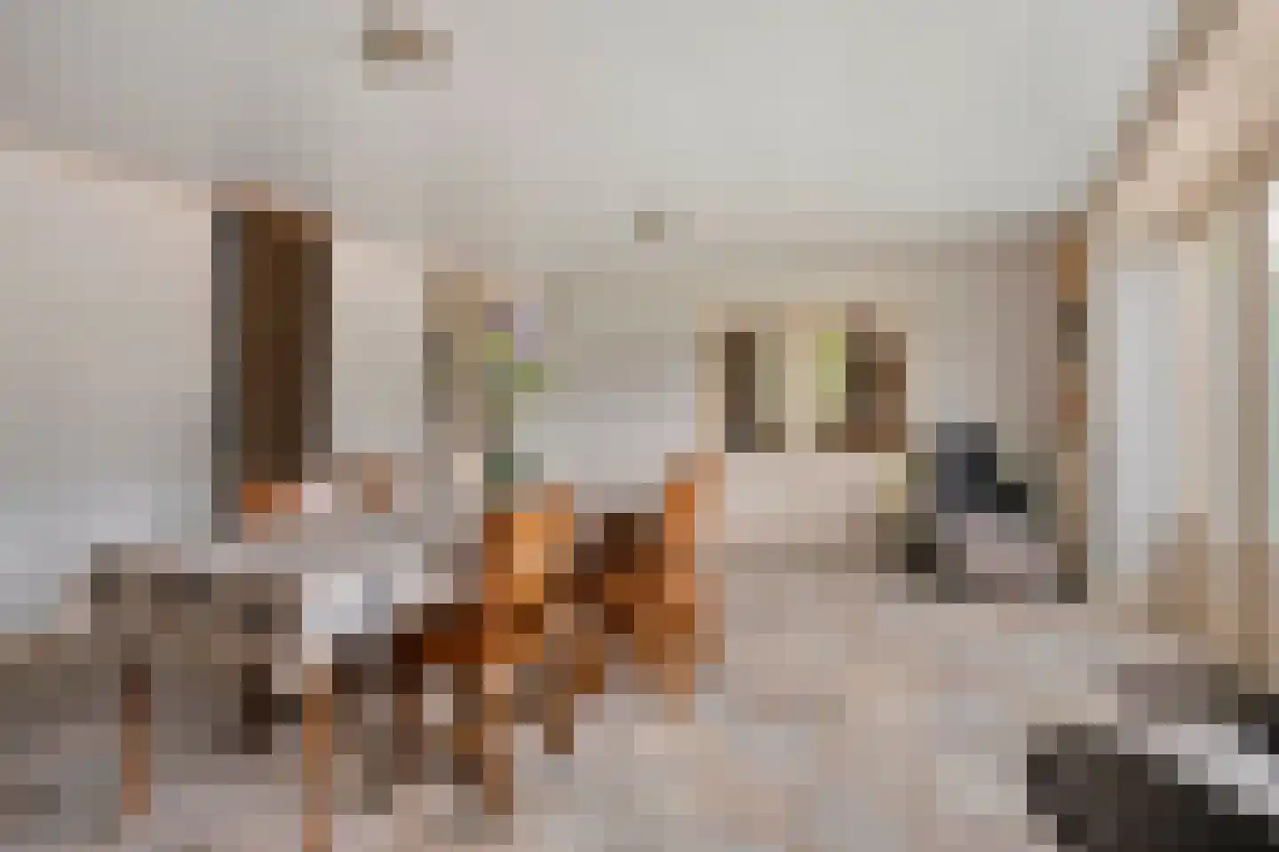 Vaartweg 18 Dongen thumbnail 22
