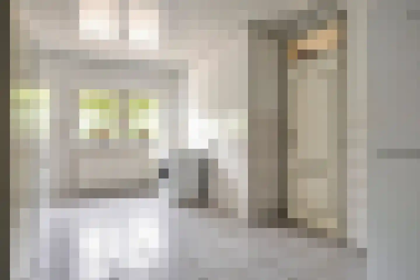 Vaartweg 18 Dongen thumbnail 25