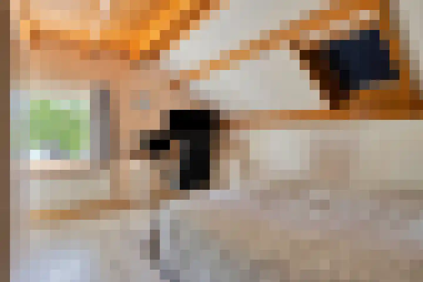 Vaartweg 18 Dongen thumbnail 34