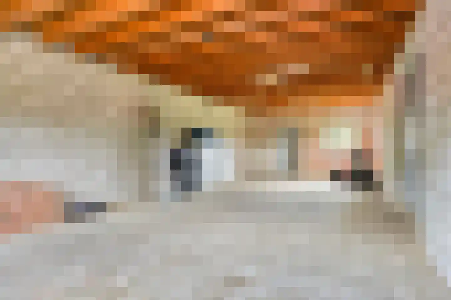 Vaartweg 18 Dongen thumbnail 38