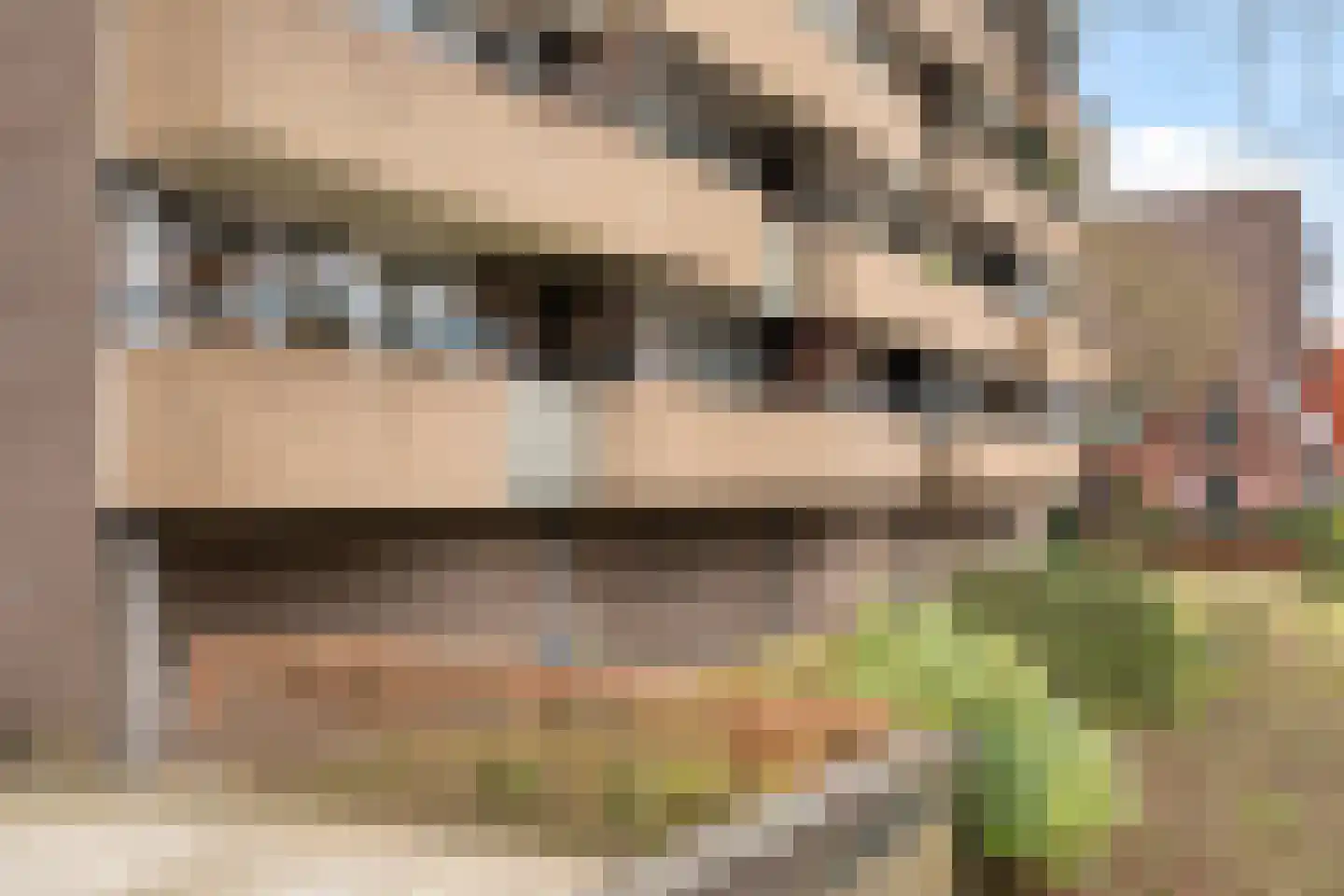 Vaartweg 190 15 Hilversum thumbnail 20