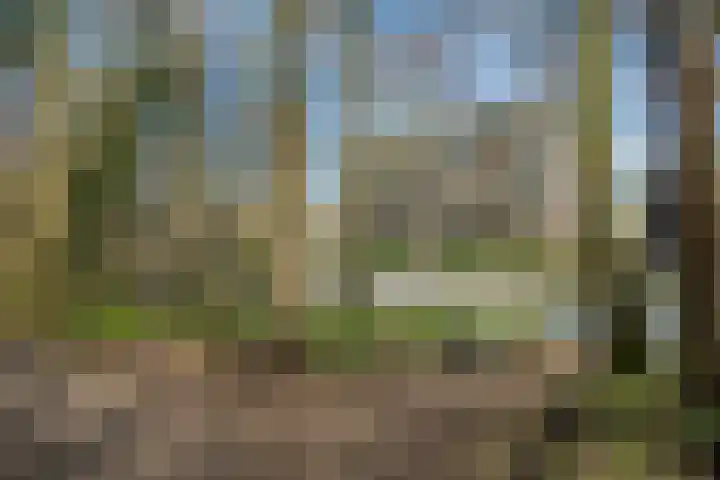 Vaartweg 190 49 Hilversum thumbnail 31