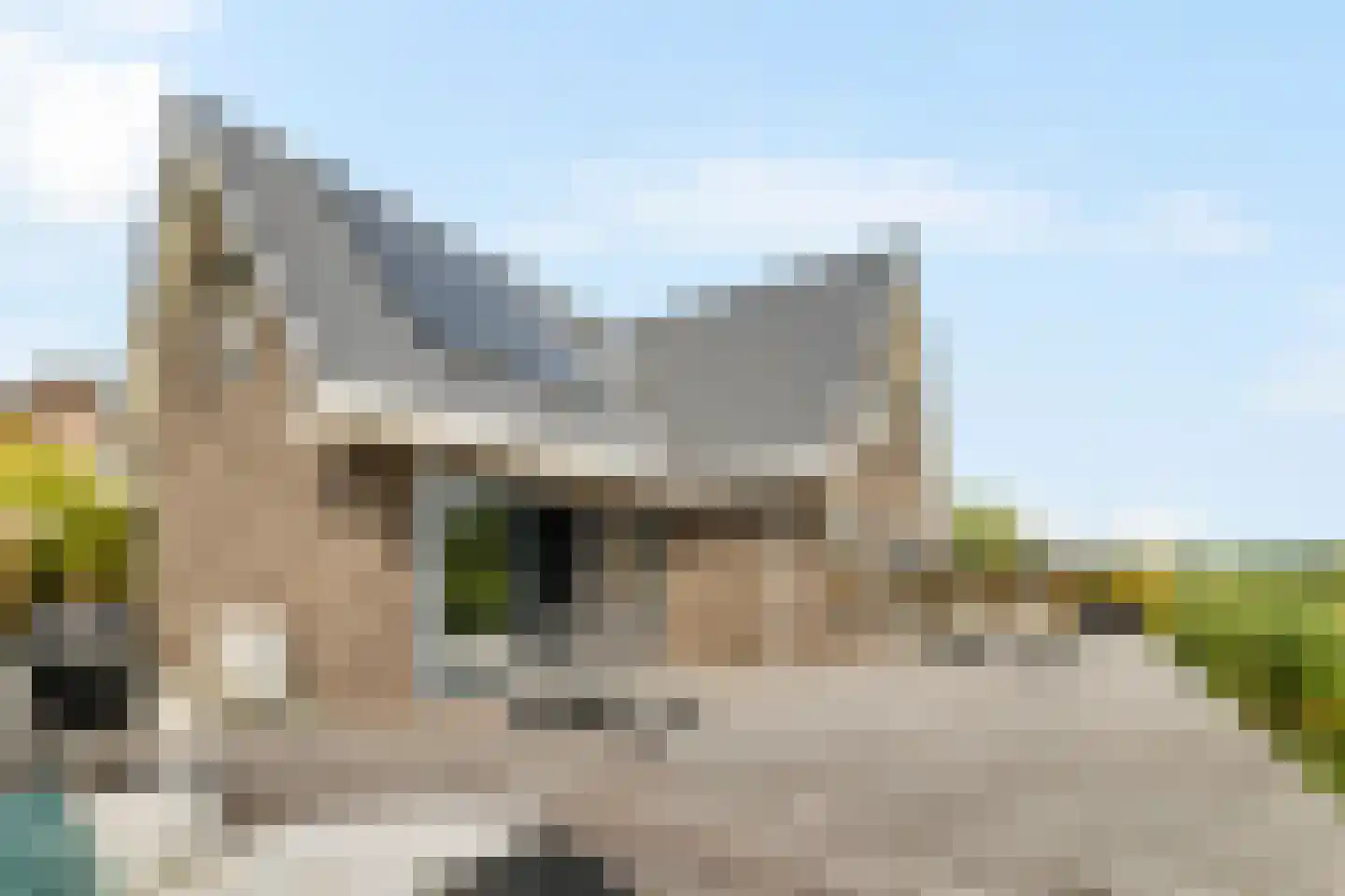Vaartweg 20 Nederhorst den Berg thumbnail 36