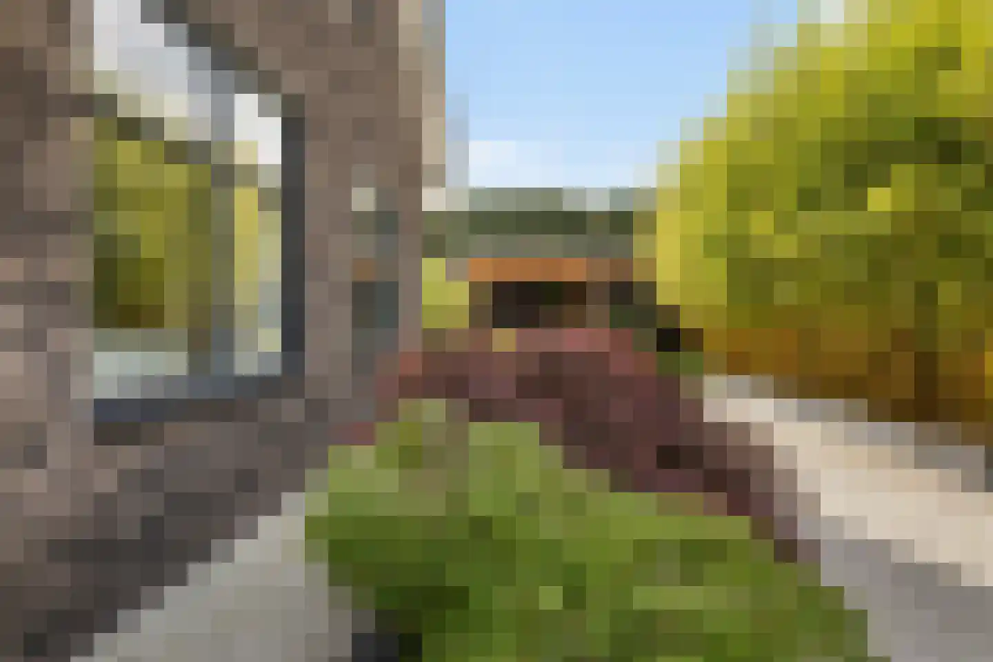 Vaartweg 20 Nederhorst den Berg thumbnail 42