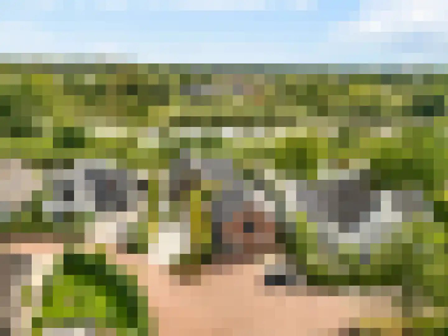 Vaartweg 20 Nederhorst den Berg thumbnail 47