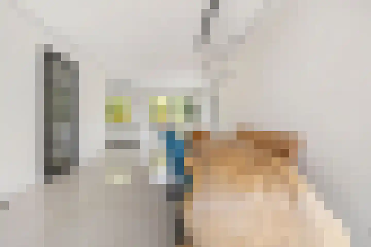 Vaartweg 20 Nederhorst den Berg thumbnail 8