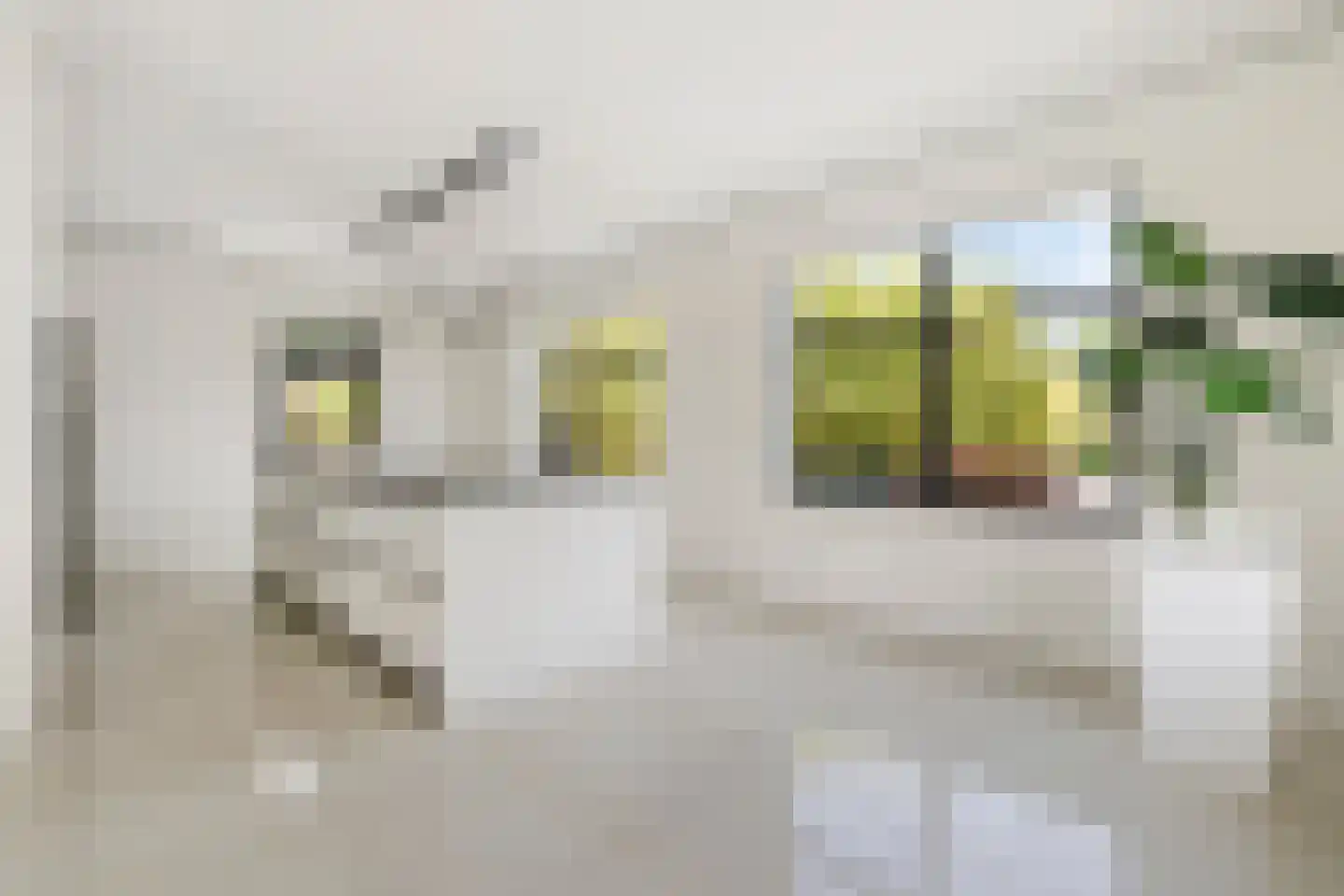 Vaartweg 20 Nederhorst den Berg thumbnail 9