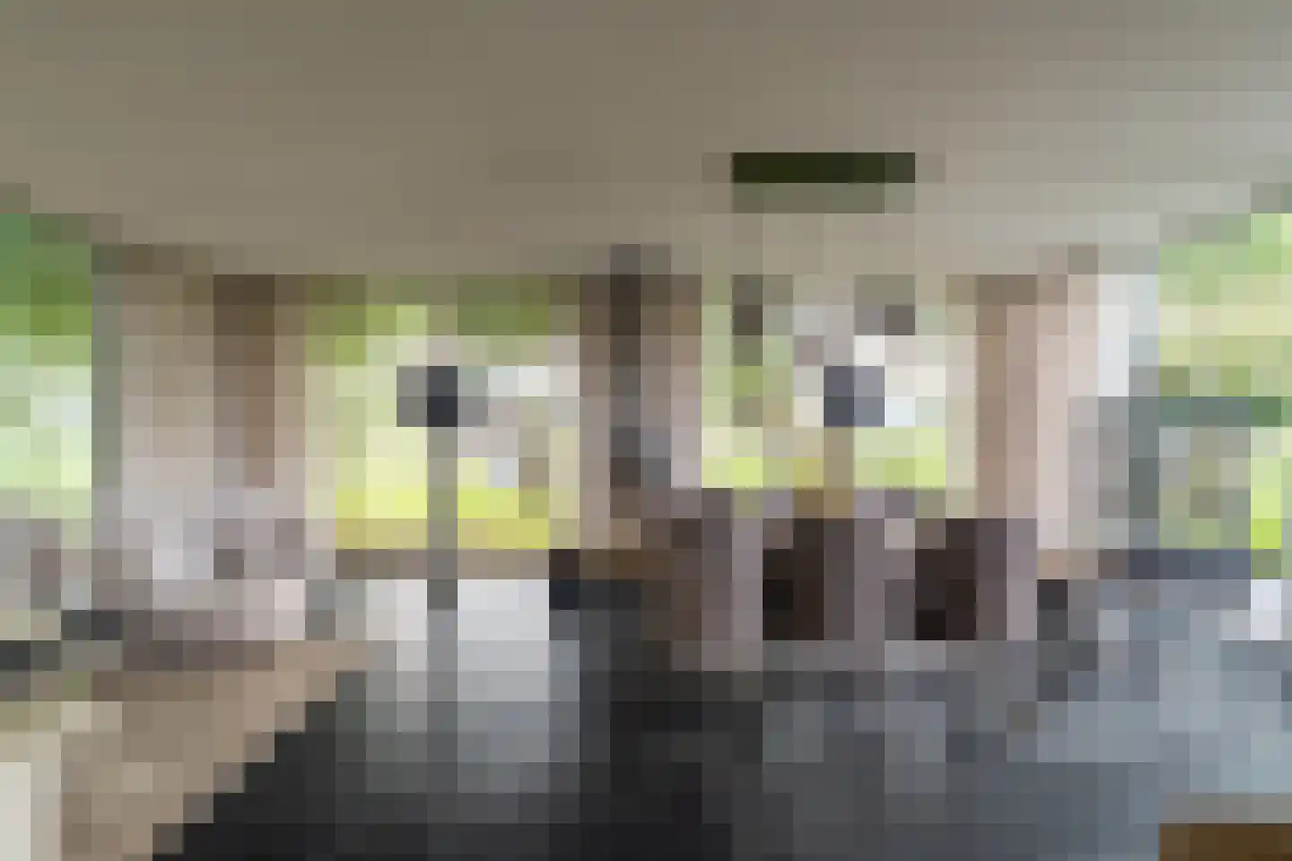 Vaartweg 202 Dongen thumbnail 16