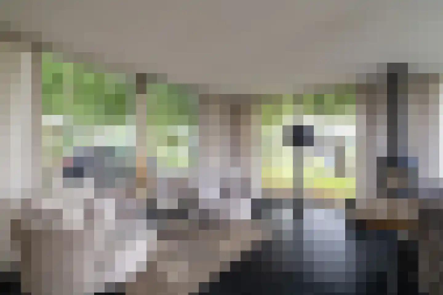 Vaartweg 202 Dongen thumbnail 17